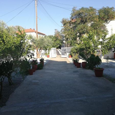 Apartamento Sunny Cozy House With Grand Courtyard Leonídion Exterior foto